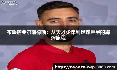 8868体育官网入口